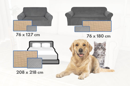 Beste Hondenkleed bank, bed of auto