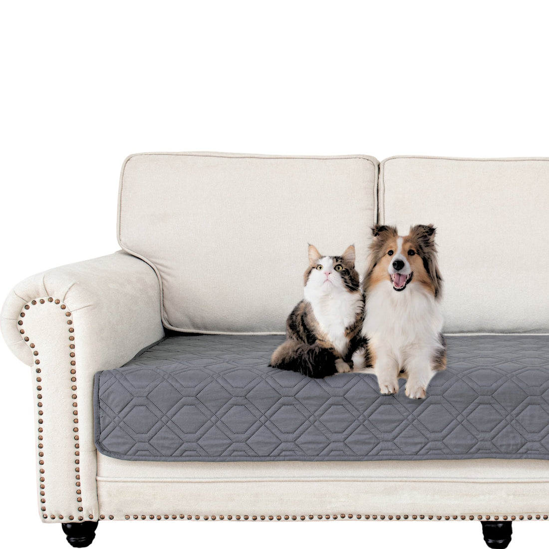 De beste honden kleed bank voor jou 