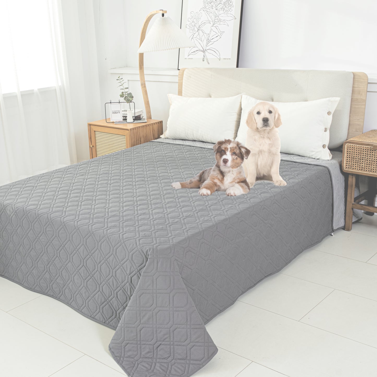 Hondenkleed ook geschikt voor op bed