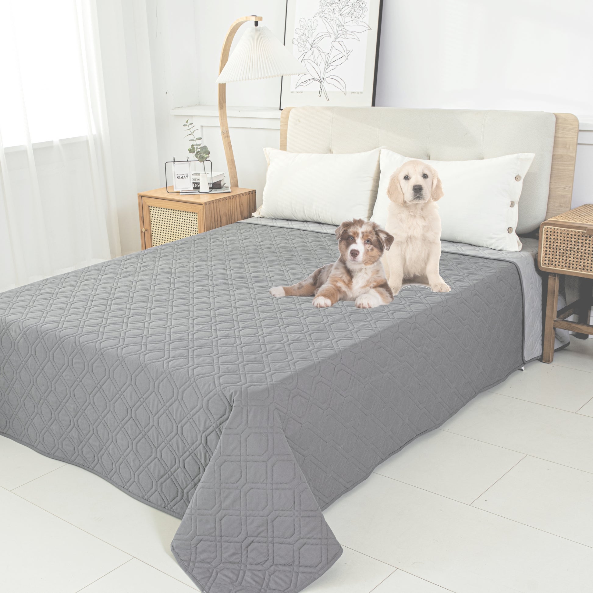 Hondenkleed ook geschikt voor op bed