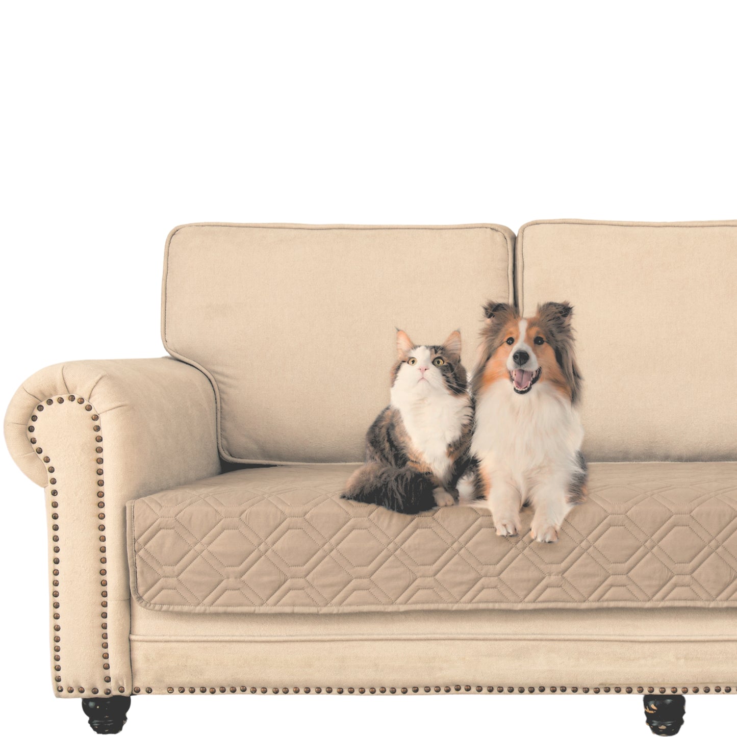 Hondendeken wasbaar voor hondenmand bank auto bed | Beige