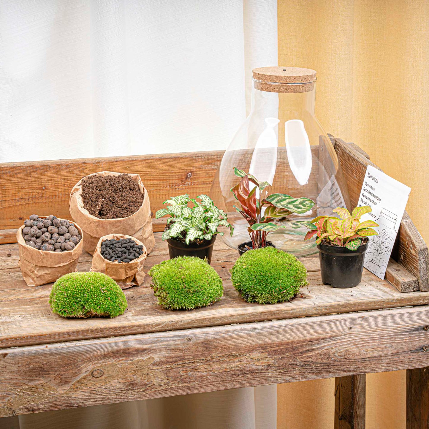 Sam Calathea | Plant terrarium met lichtbron | DIY-kit | Ø 24.5 cm ↑ 30 cm
